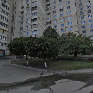 Vulytsia Natalii Uzhvii, 96 ، خاركيف: صورة