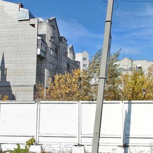 Korolenko Street, 91, Barnaul: photo