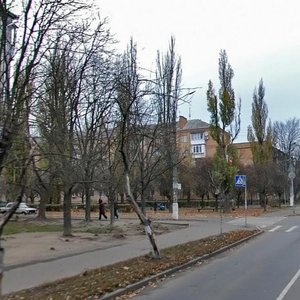 Aviakonstruktora Antonova Street, 10, Kyiv: photo