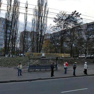 Svobody Avenue, 1А, Kyiv: photo