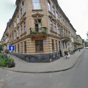 Vulytsia Chekhova, 3, Lviv: photo