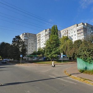 Piatnytska vulytsia, 92, Chernihiv: photo