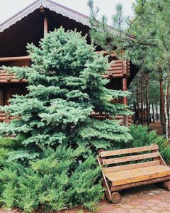 Tsentralnaya ulitsa, 360А, Rostov Oblast: photo