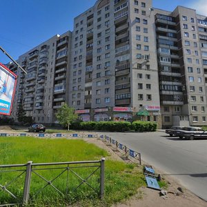 Kamyshovaya Street, 5, Saint Petersburg: photo