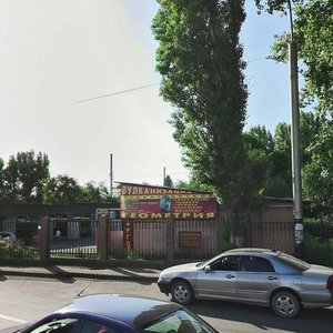 Raiymbek Avenue, 357, Almaty: photo