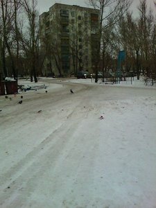 Pavlov kóshesi, 34/1, Pavlodar: photo