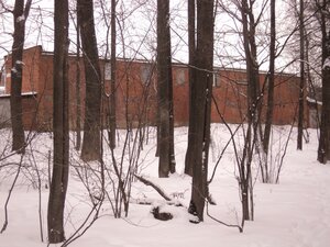 Universitetskaya Street, 37А, Cheboksary: photo
