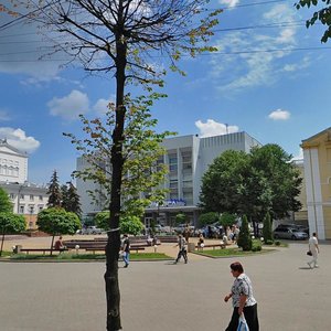 Teatralna vulytsia, 15, Vinnytsia: photo