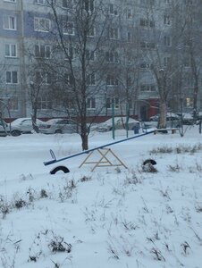 Ulitsa Dianova, 2, Omsk: photo