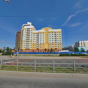 Сестрорецк, Приморское шоссе, 293: фото