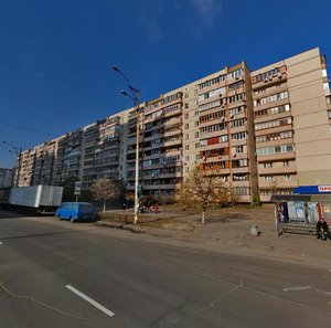 Maryny Tsvietaievoi Street, 16, Kyiv: photo