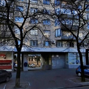 Velyka Vasylkivska Street, 102, Kyiv: photo