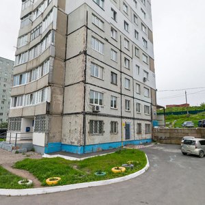 Dobrovolskogo Street, 45, Vladivostok: photo