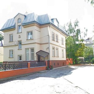 Ulitsa Konstantina Levitskogo, 110, Lviv: photo