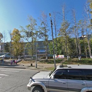 Pionerskaya Street, 66, Birobidgan: photo