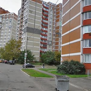 Volodymyra Vysotskoho Boulevard, 10/44, Kyiv: photo