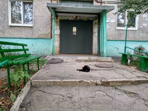 Dachnaya ulitsa, 30, Saratov: photo