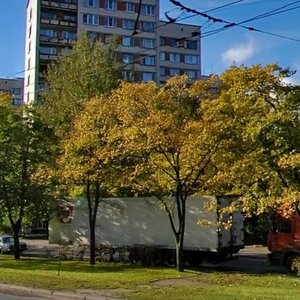 Veteranov Avenue, 45, Saint Petersburg: photo