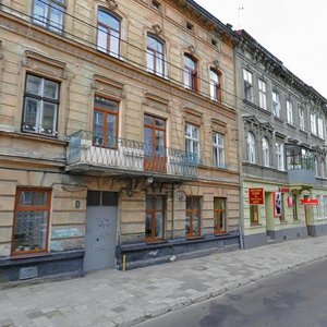 Snopkivska vulytsia, 10, Lviv: photo