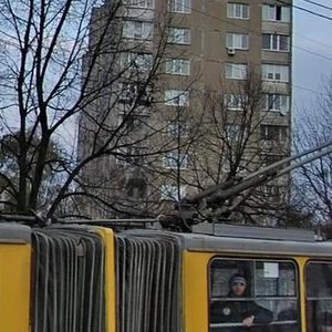 Pravdy Avenue, 98, Kyiv: photo