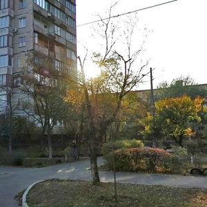 Perova Boulevard, 23А, Kyiv: photo