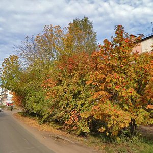 Podolskikh Kursantov Street, No:15А, Yoshkar‑Ola: Fotoğraflar