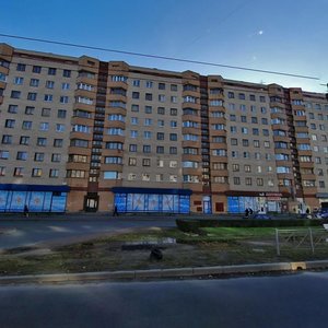 Veteranov Avenue, 110, Saint Petersburg: photo