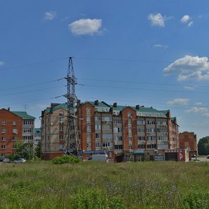 Бронницы, Комсомольский переулок, 61: фото