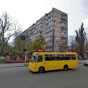 Marychanska Street, 13, Kyiv: photo
