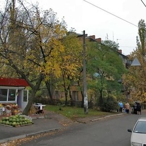 Alma-Atynska Street, 56, Kyiv: photo