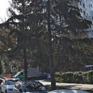 Molodogvardeyskaya Street, 143, Samara: photo