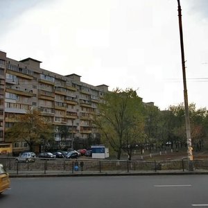 Heroiv Stalinhrada Avenue, 7А, Kyiv: photo