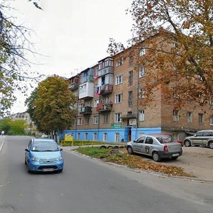 Vulytsia Bohdana Khmelnytskoho, 7, Vyshhorod: photo