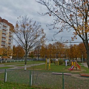 Frolikava Street, 31к2, Minsk: photo