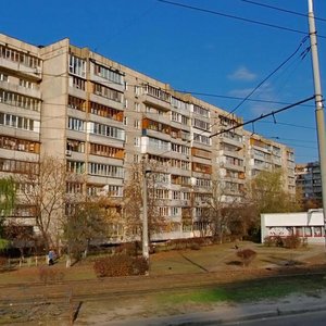 Heroiv Dnipra Street, 19, Kyiv: photo