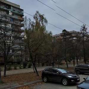 Киев, Чернобыльская улица, 11: фото