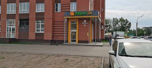 Partizanskaya Street, 203, Barnaul: photo