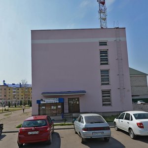 Воронежская область, Улица Мосина, 2: фото