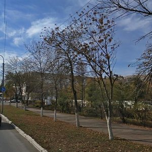 Pobedy Avenue, 75, Orenburg: photo