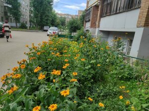 Vladimirskaya Street, 29, Samara: photo