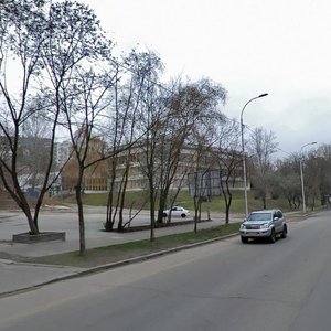 Kudriashova Street, 12/14, Kyiv: photo