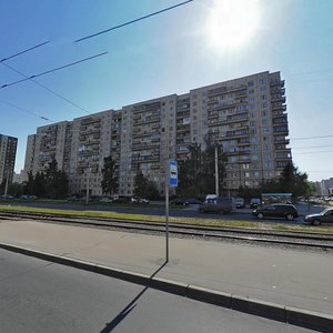 Nastavnikov Avenue, 30, Saint Petersburg: photo