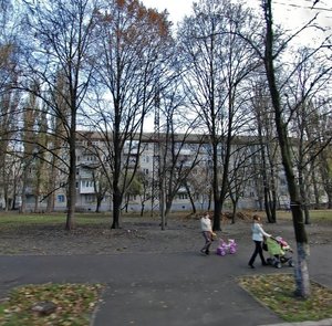 Mykoly Vasylenka Street, 9, : foto