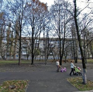 Mykoly Vasylenka Street, 9, Kyiv: photo