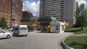 Новосибирск, Первомайская улица, 236/1: фото