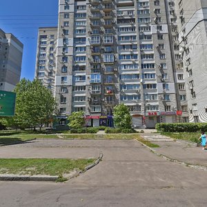 Robocha Street, 148, Dnipro: photo