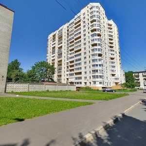 Yuriya Gagarina Avenue, 63к2, Saint Petersburg: photo