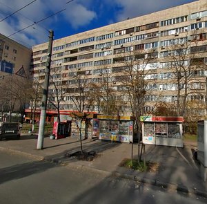 Tarasa Shevchenka Boulevard, 38, Kyiv: photo