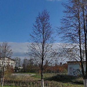 Vasilyevskaya Street, No:44, Suzdal: Fotoğraflar