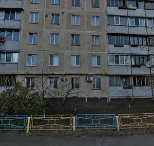 Pryrichna Street, 27, Kyiv: photo